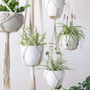 Set of four handcrafted macrame plant hangers in a bohemian style, holding various houseplants and flowering plants.