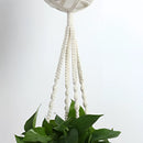 Set of four handcrafted macrame plant hangers in a Bohemian style, displaying various plants and flowers against a sky background.