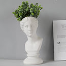 Neoclassical Greek head sculpture used as a planter, featuring detailed hair and artistic design, set against a backdrop of grass and herbs.