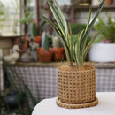 Rattan cement planter with a natural texture housing a green houseplant, placed indoors surrounded by a serene setting.
