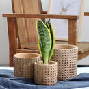 Rattan cement planter with natural texture on a wooden floor against a textured wall, featuring terrestrial plants in a cozy interior setting.