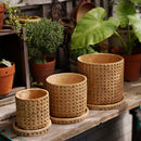 Rattan-style cement planter with natural texture housing a houseplant, resembling a decorative pottery piece.