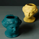 Resin neoclassical Venus vase sculpture in blush pink, teal, and grey options, featuring detailed facial elements like forehead, chin, and jaw.