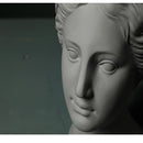 Resin Neoclassical Venus vase in blush pink, teal, and grey, showcasing classical sculpture features like a detailed nose, cheek, eyelash, jaw, and neck with no expression under flash photography.