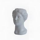 Grey resin neoclassical Venus vase resembling a sculpture with detailed features like hair, neck, jaw, and a cap shaped top.