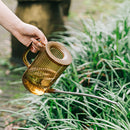 Watering can with extended spout, made of metal, placed on grass near plants, designed for accurate water delivery.