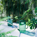Green watering can with extended spout, surrounded by lush plants under sunlight.