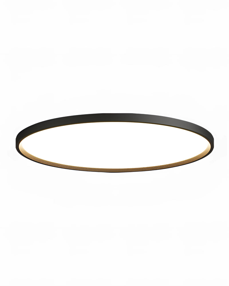Minimalist circular LED ceiling light with black rim, energy-efficient design.