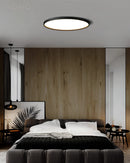 Circular LED Ceiling Light with Black Rim, Minimalist Design, Energy-Efficient, Mounted on Ceiling in Modern Interior
