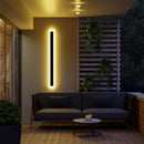 Minimalist LED wall sconce with sleek vertical rectangular design, dimmable 24W 8x60 cm, mounted on a modern interior wall with furniture including a couch and table, and a plant in the background.