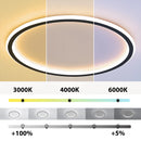 Modern LED Ceiling Light with minimalist circular design, flush mount, energy-efficient lighting fixture.