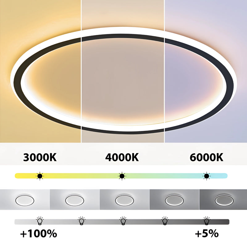 Modern LED Ceiling Light with minimalist circular design, flush mount, energy-efficient lighting fixture.