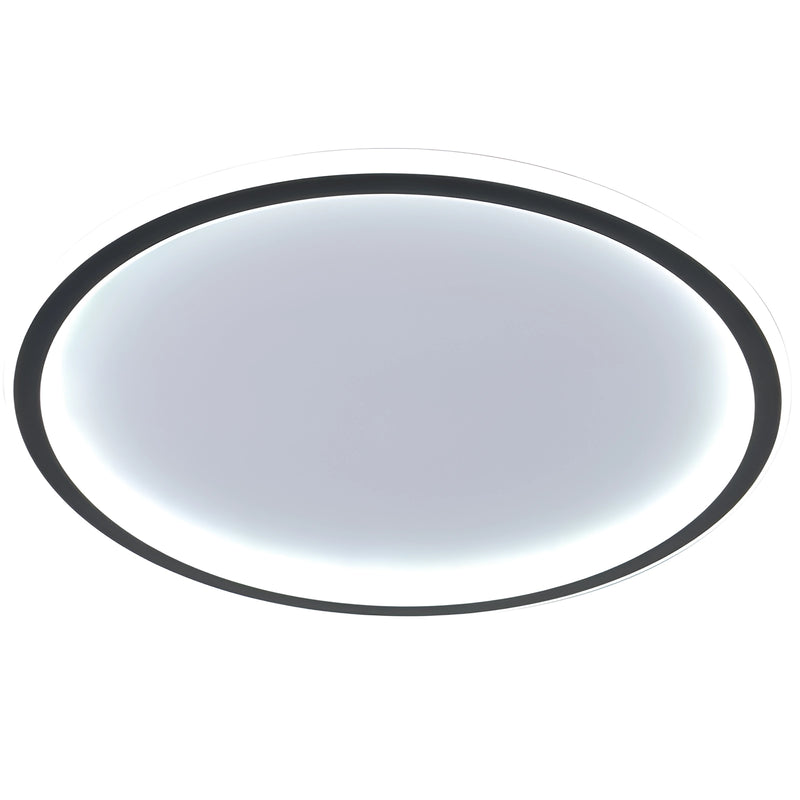 Modern LED ceiling light with a minimalist circular flush mount design, energy efficient, illuminating a clean and contemporary interior.